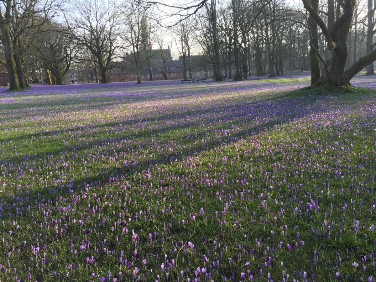 Fischerstuuv Husum  Exterior foto